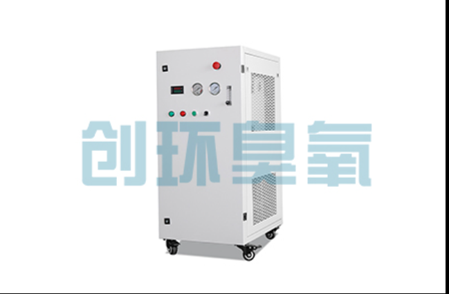 衡水工厂化养鲈必看:2026年臭氧发生器替代传统消毒的最新方案