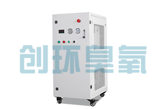衡水石斑鱼养殖水质调控完整指南:臭氧发生器配置与操作步骤