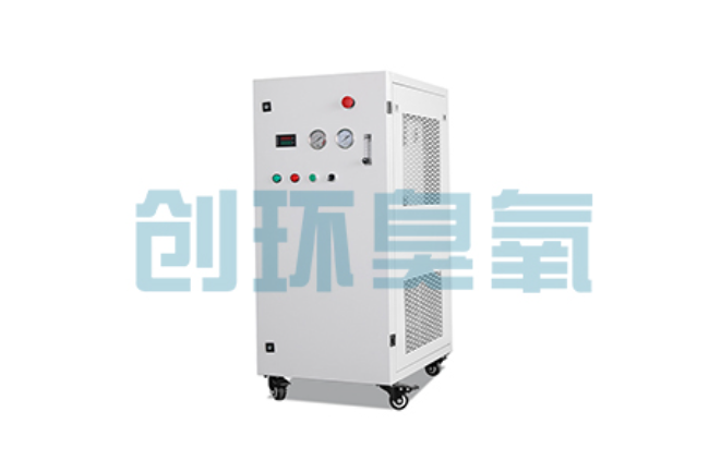 衡水比传统换水更高效?臭氧发生器在石斑鱼养殖中的水质净化原理解析